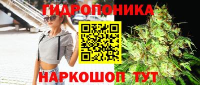 соль ск Новодвинск