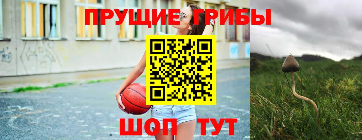 Псилоцибиновые грибы MAGIC MUSHROOMS  Псилоцибиновые грибы Psilocybine cubensis  Фролово  Вход с VPN 